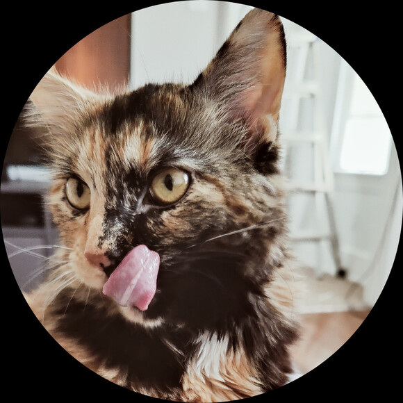 remiaou